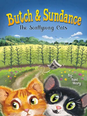 cover image of Butch & Sundance